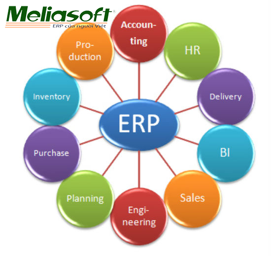 Vai trò khác nhau giữa phần mềm kế toán và giải pháp ERP