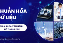 Chuẩn hóa dữ liệu: Chìa khóa vận hành hiệu quả hệ thống ERP