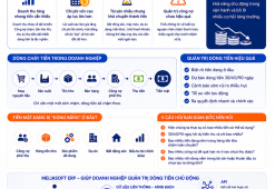 CASH IS KING – Khi tiền mặt trở thành “lá chắn” của doanh nghiệp